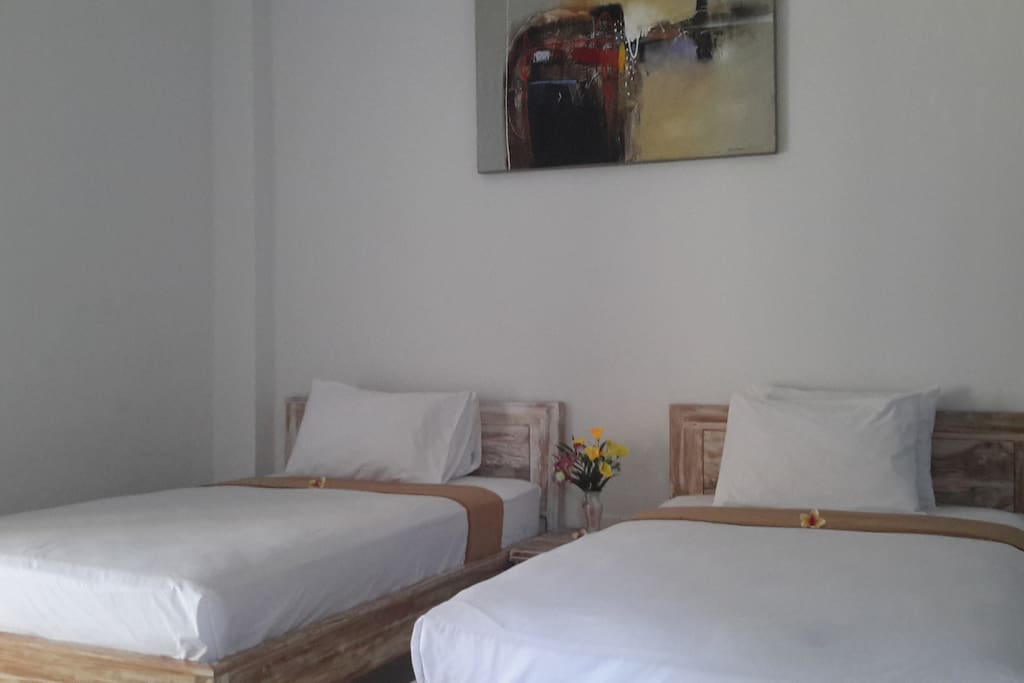 Deluxe twn bed Room