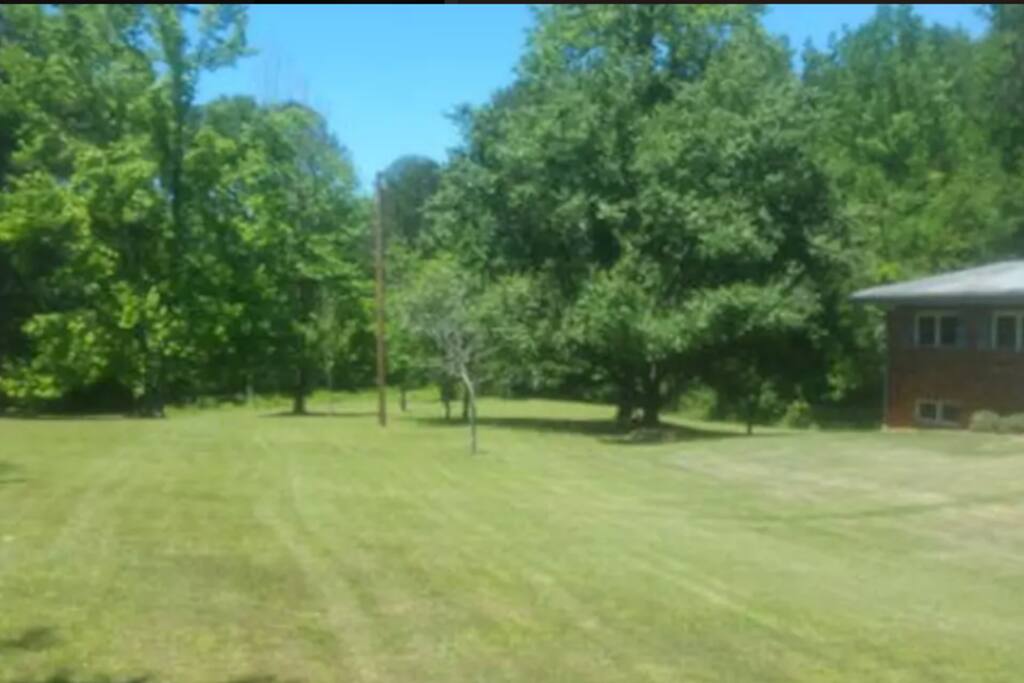 View from your room, park