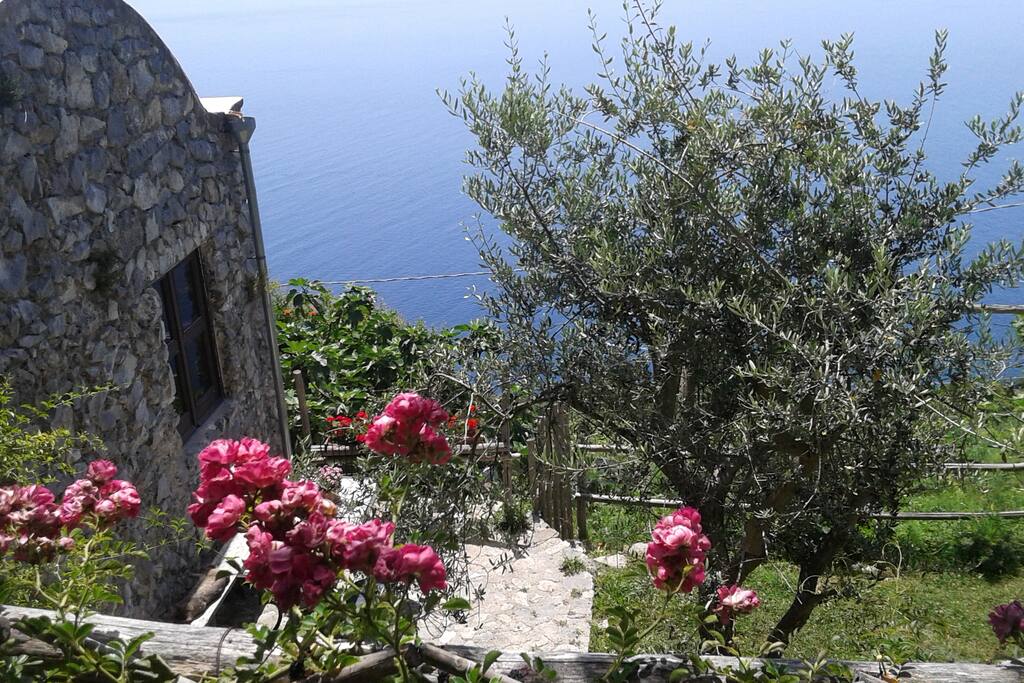 La casa