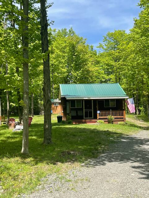 Rustic retreat cabin 7 miles from Watkins Glen.