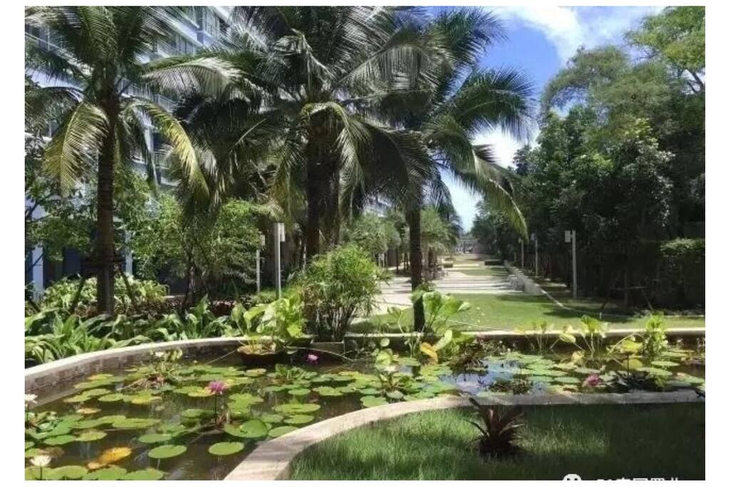公寓里有一个很大的绿色公园。There's a big green park in the apartment