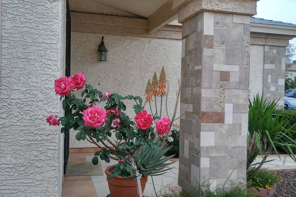 by the entrance Door
