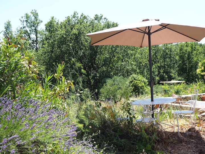 Suite Avec Piscine, Terrasses, Pétanque, Yoga - Cotignac