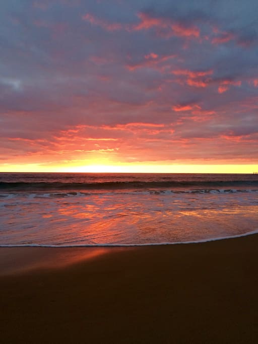 A bike ride to Glenelg beach to catch the sunset (or take the tram, or train to the string of beaches along the coast including Brighton with many cafes and shops in Jetty Road