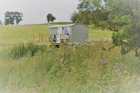 North Wales retreat, shepherds hut, Ty Ucha’r Llyn
