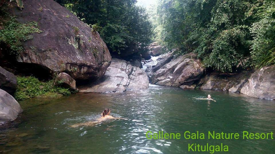 A serene river scene is depicted, with crystal-clear water flowing between large, smooth rocks. Lush greenery surrounds the area, creating a peaceful natural oasis. Two individuals can be seen swimming leisurely, enjoying the tranquil environment.