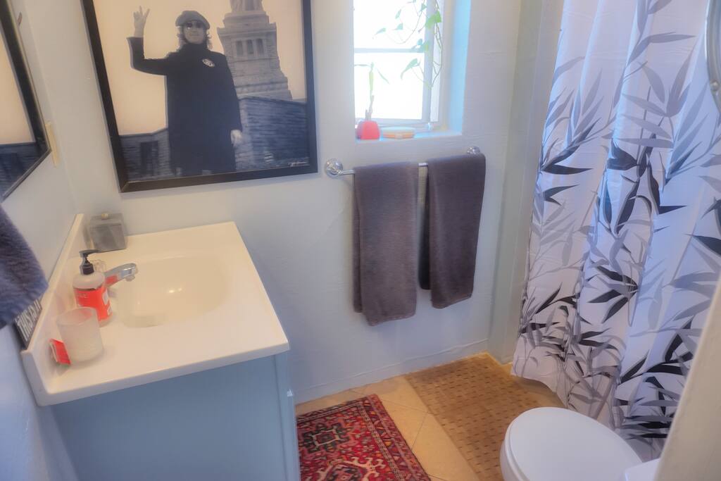Small, but full bath. Great shower with good water pressure.