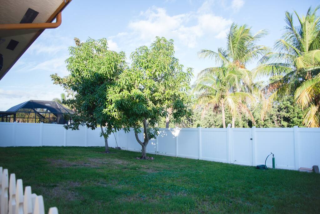 Back yard