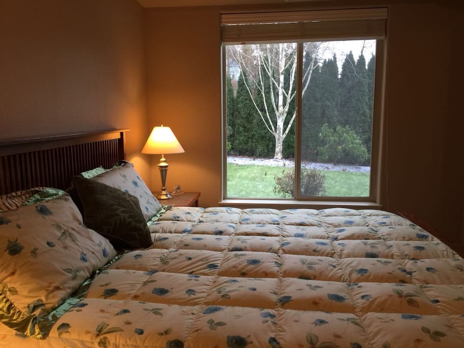 Bedroom With a King Size Bed