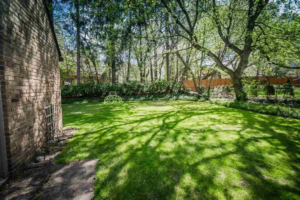 Backyard - fenced in and shaded