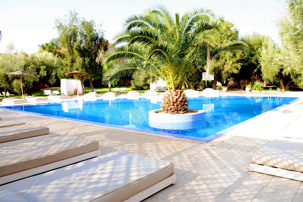 piscine à proximité des chambres