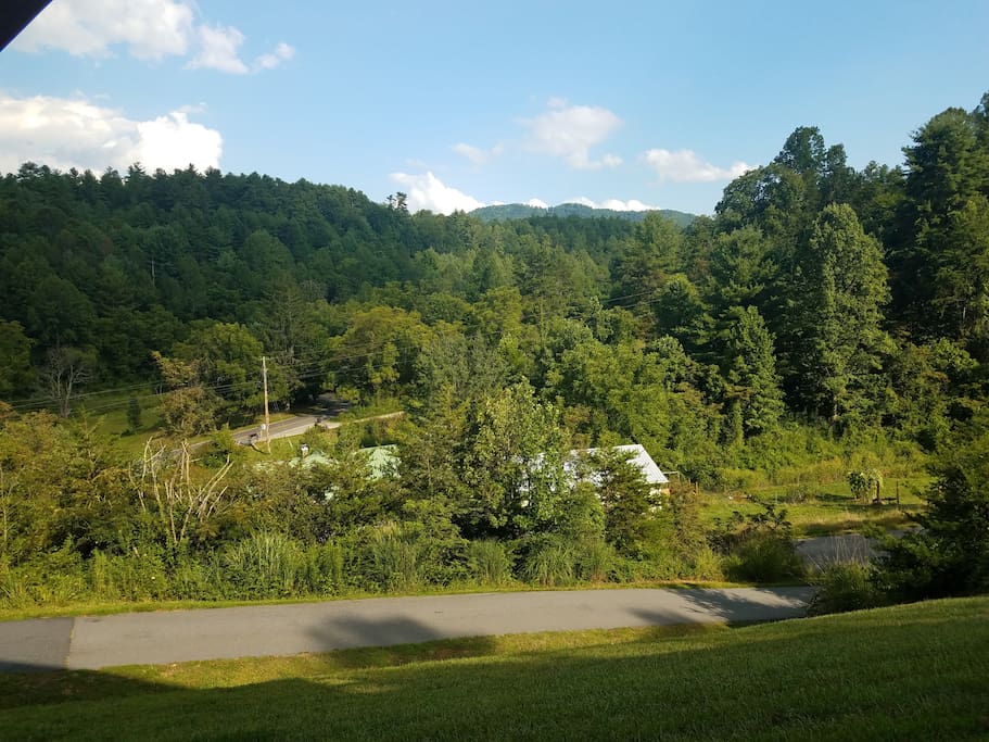 Property view during the summer
