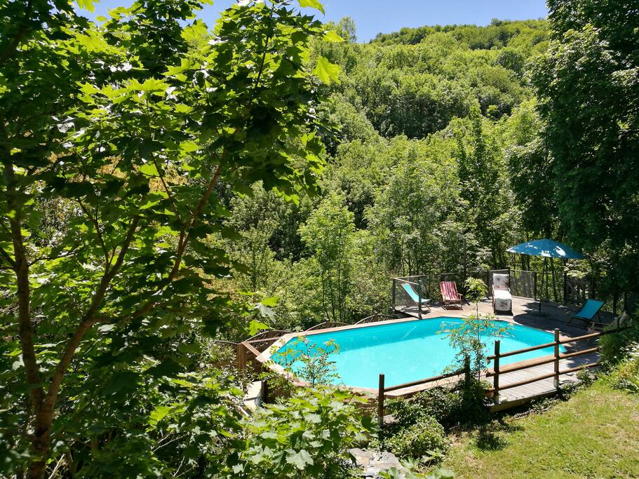 Forest Swimming Pool