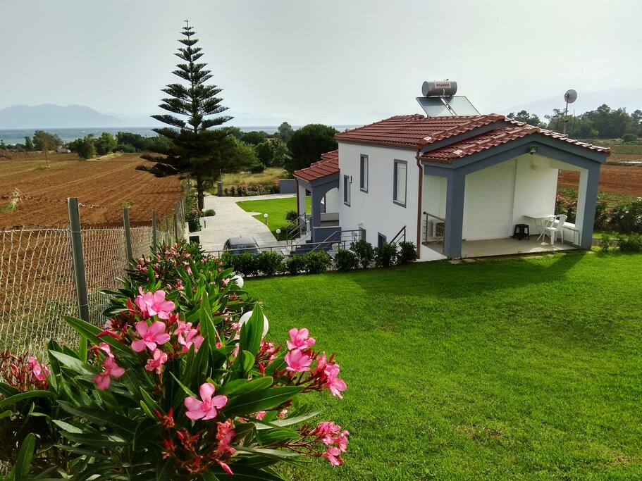 garden, sea view, flowers