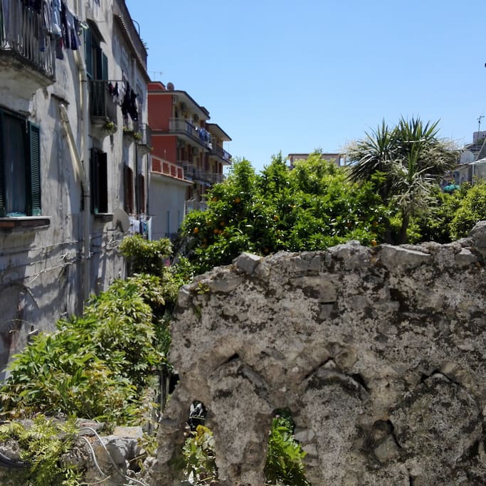 Vista dalla finestra, meraviglioso giardino di arance e limoni