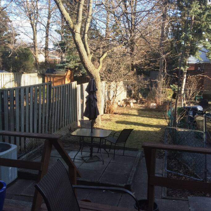 Backyard deck