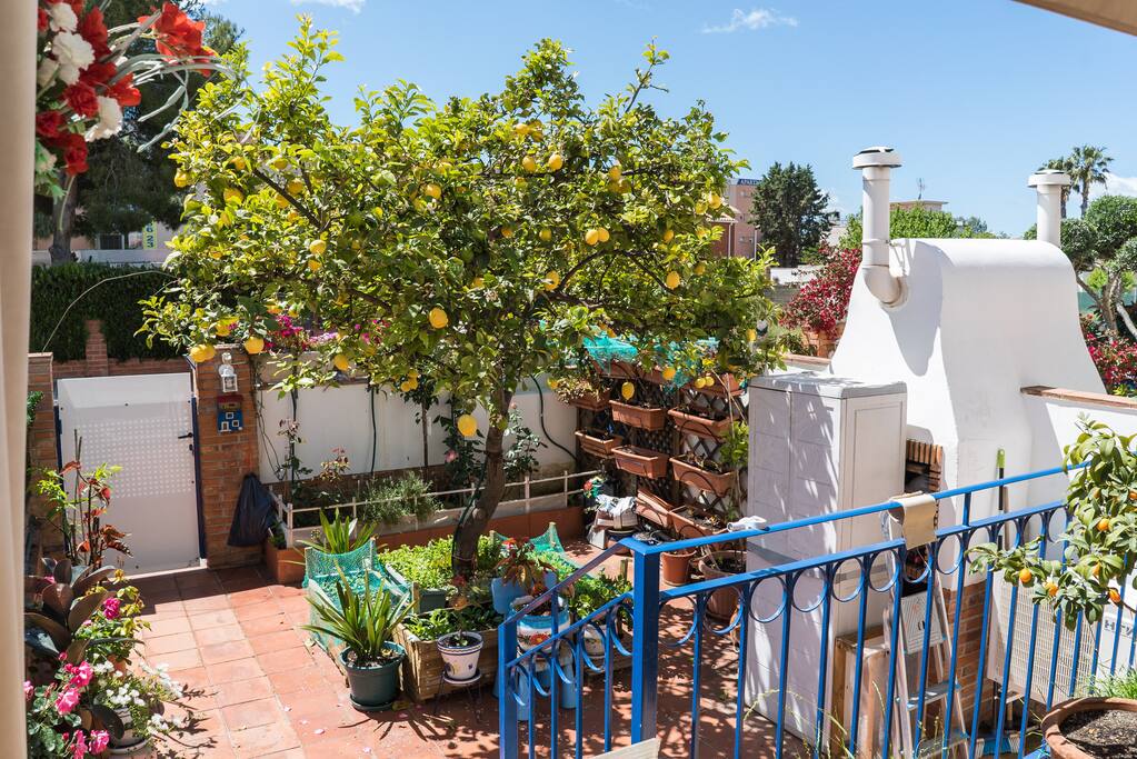 Patio entrada casa