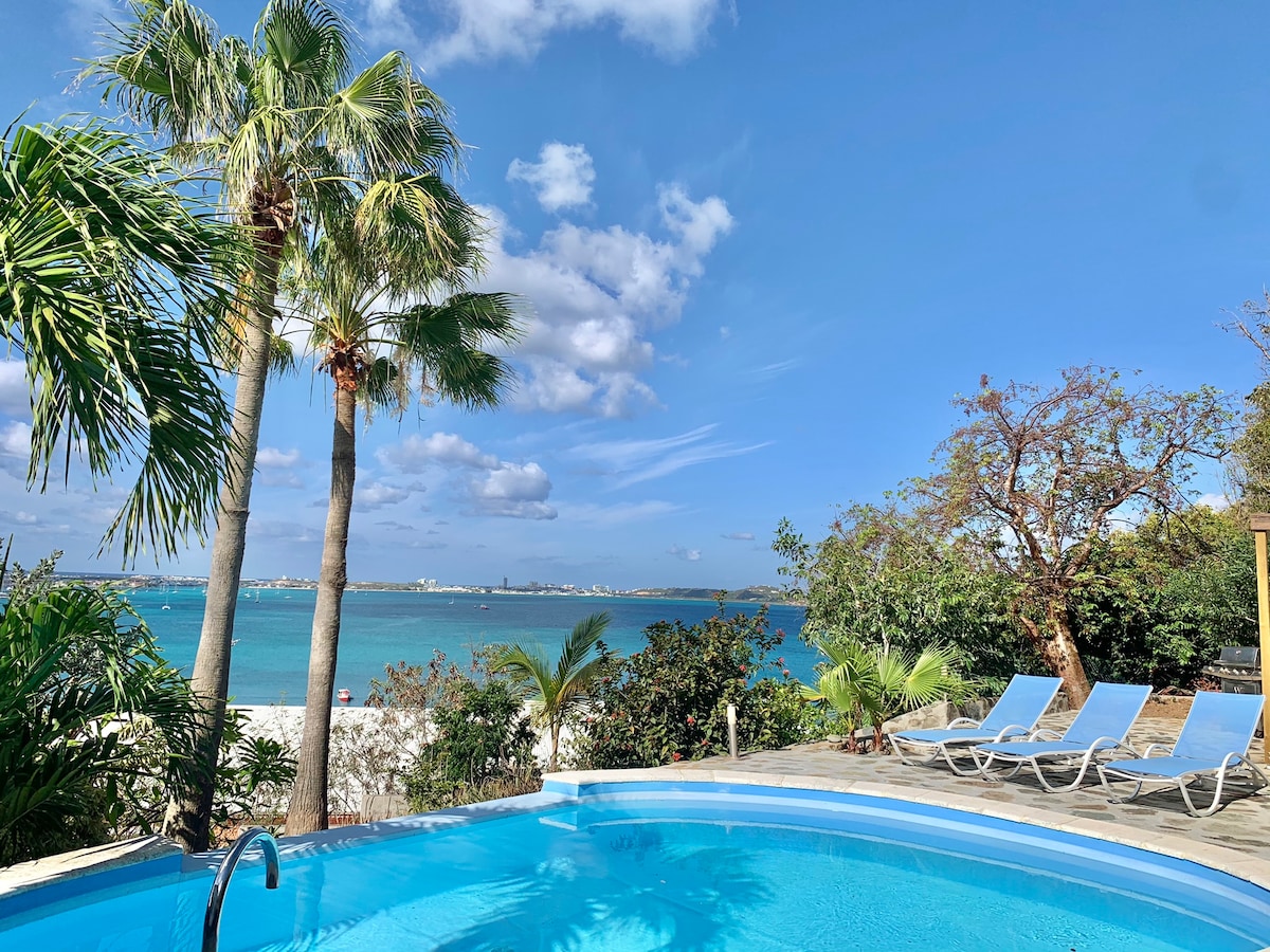 A scenic view of the turquoise Caribbean Sea is framed by palm trees and lush greenery. A circular swimming pool reflects the vibrant blue sky, while two lounge chairs sit nearby, inviting relaxation in this serene outdoor setting.
