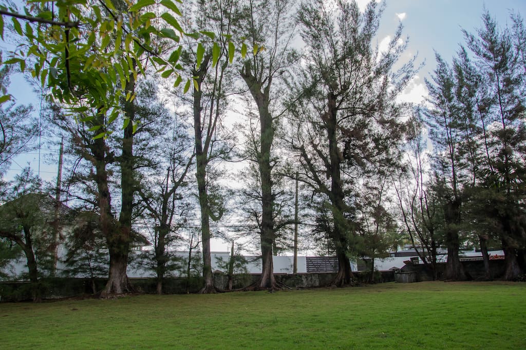 A Private, but centrally located retreat