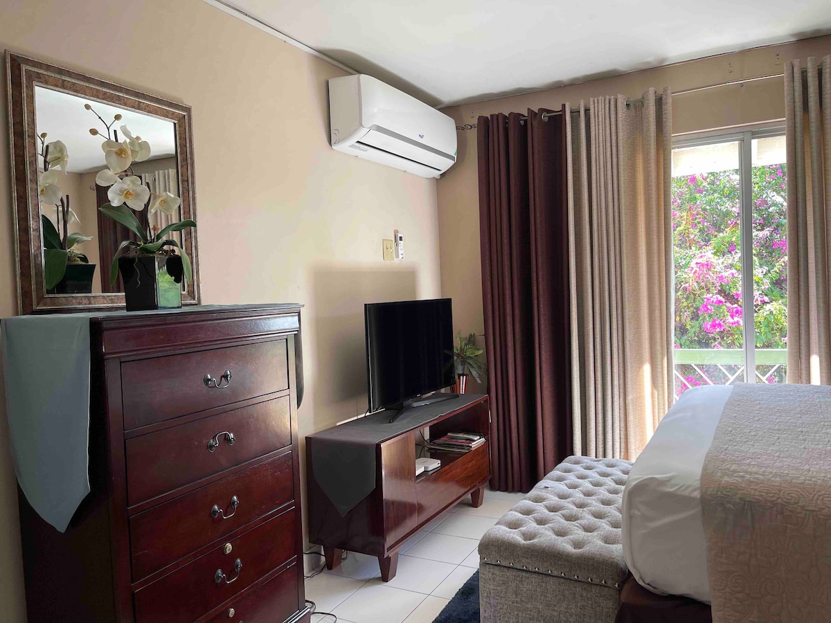 A spacious studio apartment is featured with a comfortable bed and a wooden dresser. A television is positioned on a low console, and a mirror reflects the room's arrangement. Natural light enters through a window adorned with curtains, showcasing greenery and blooming flowers outside.
