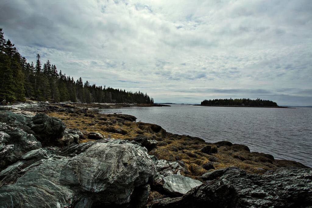 Shoreline in front of house (low tide)