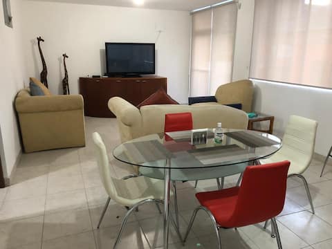 Departamento zona centro excelente ubicación.