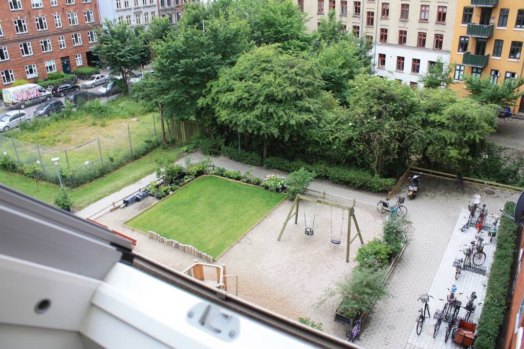 Our shared "garden"