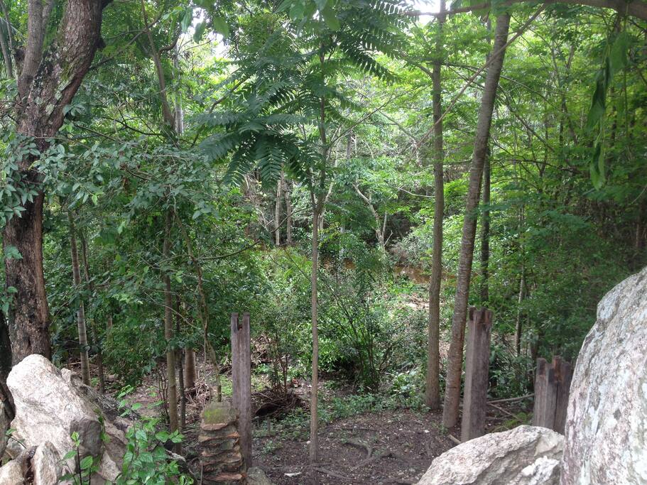Quintal