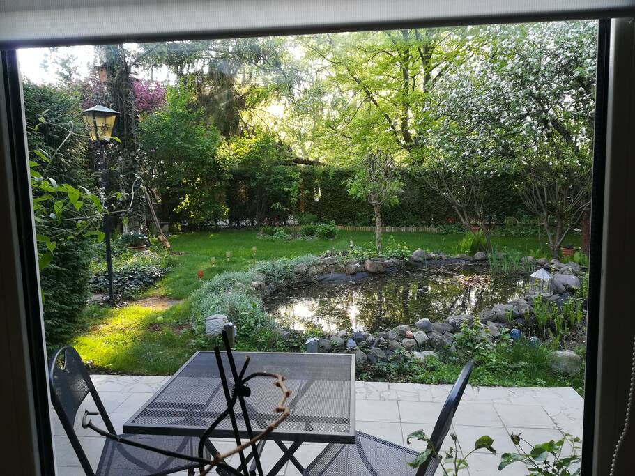 Blick in den Garten
