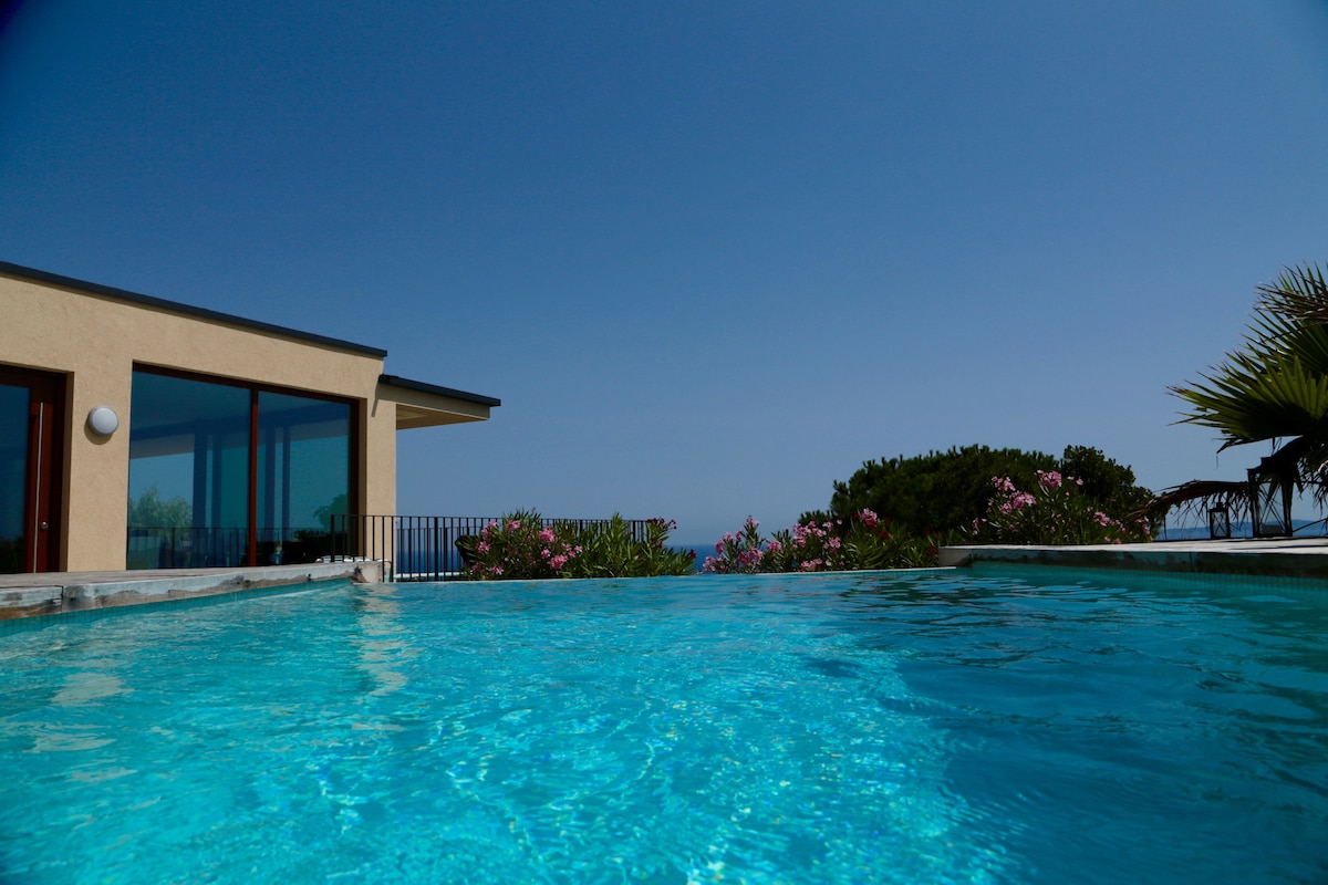 The image shows a clear infinity pool reflecting the bright blue sky. Surrounding the pool are lush green plants and flowering shrubs, enhancing the natural beauty of the setting. A modern villa with large glass windows can be seen in the background.