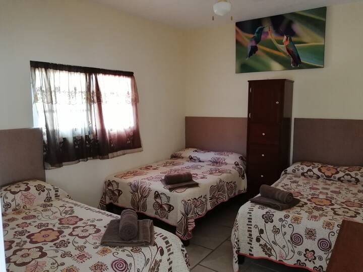 卧室1一楼（ 3张双人床） 