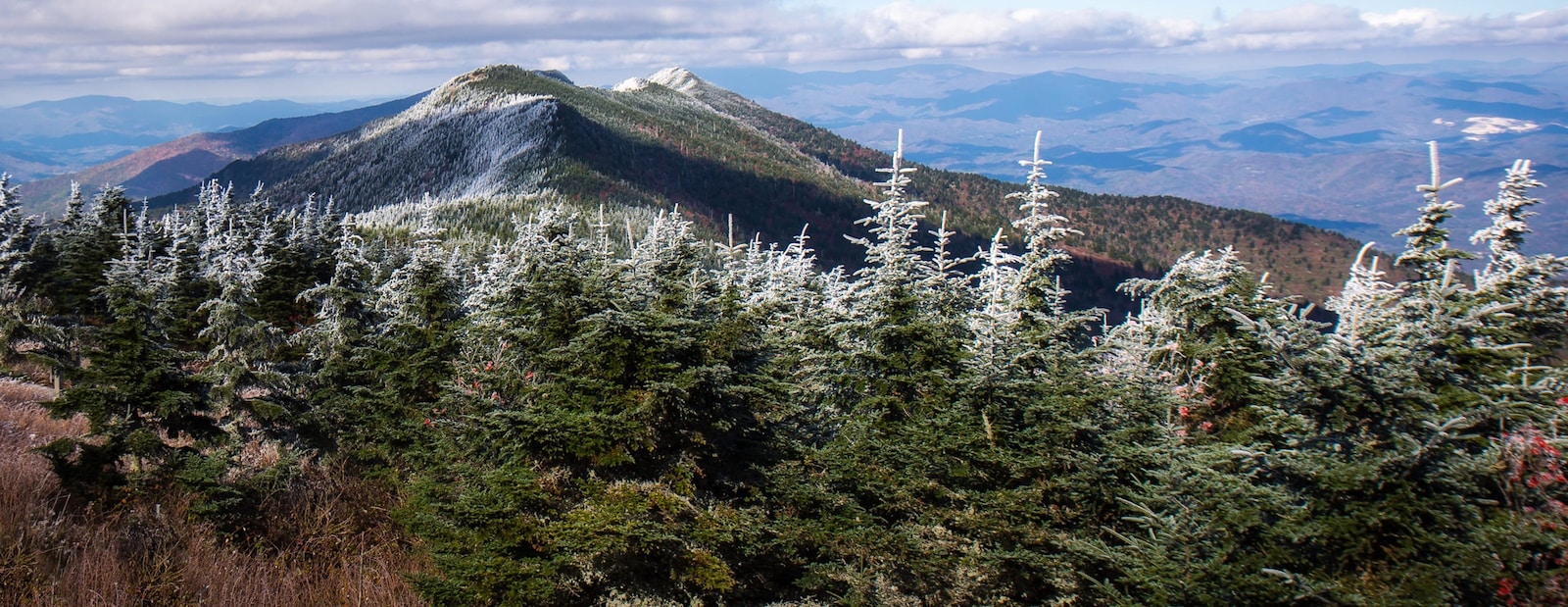 Rekreační pronájmy v Boone