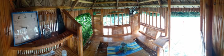 غرفة معيشة مع مروحة وضوء