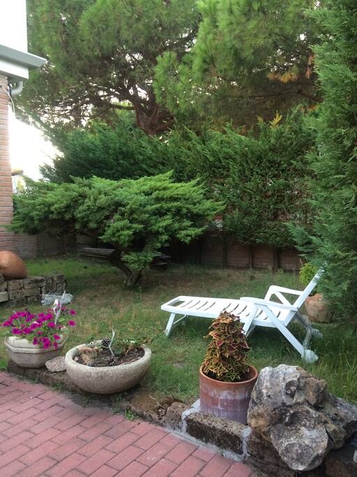 Giardino
