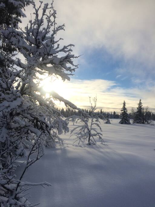 Øyerfjellet