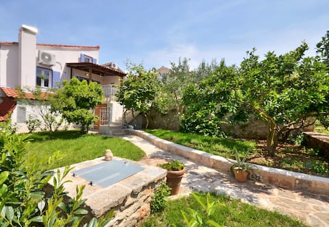 Hidden paradise in Jelsa
