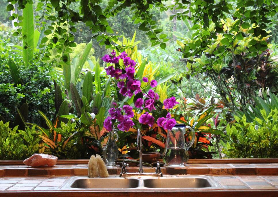 Kitchen view