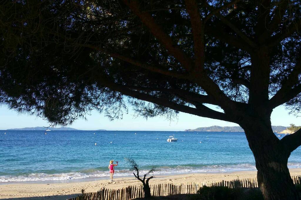 Plage de cavalière