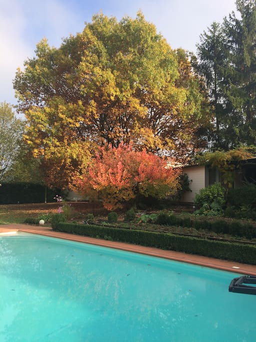 Le studio au fond du jardin