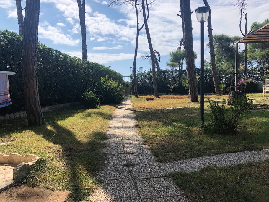 Visuale dal patio zona esterna