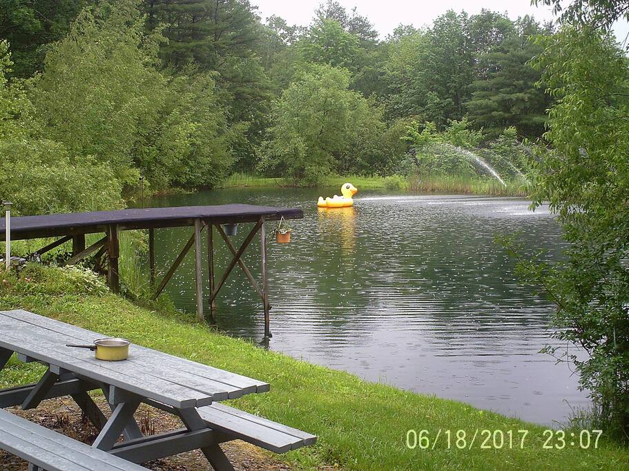 Swimming Dock