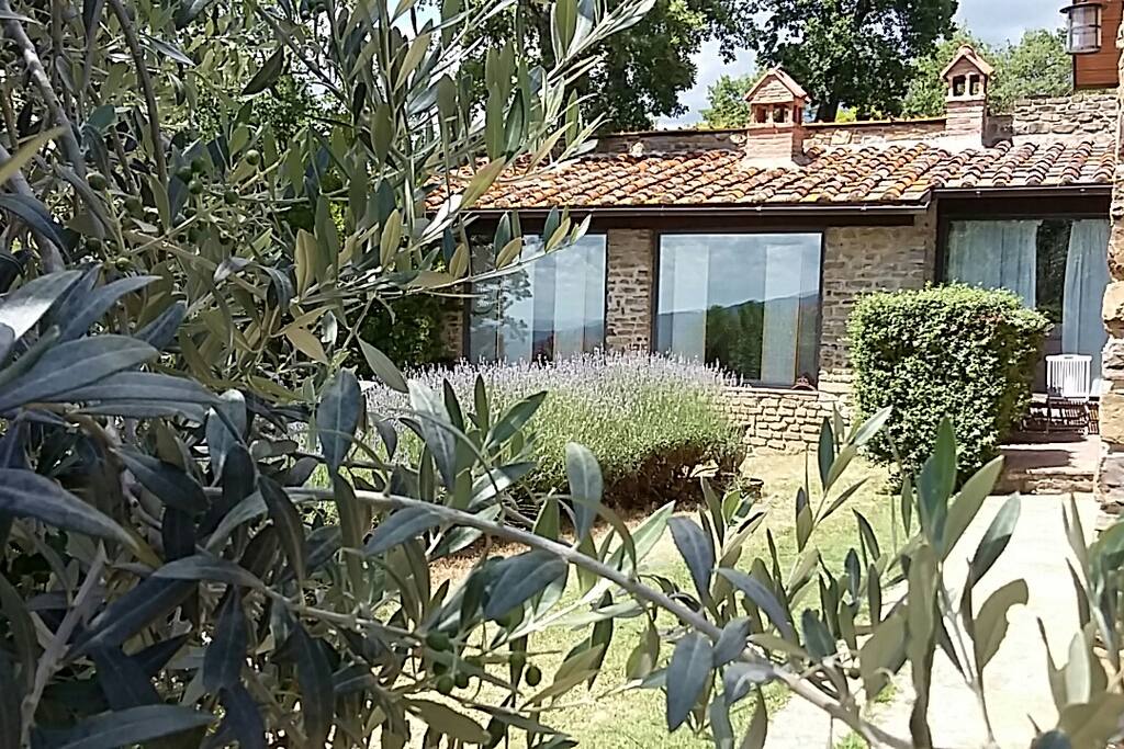 View of garden apartment