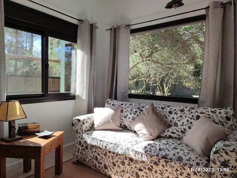 Popular Airbnb listing: House in a beautiful natural setting. Heated Pool 31° in Ocean Park