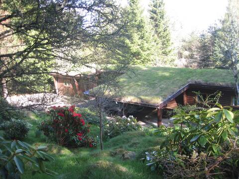 Our Log House in the woods