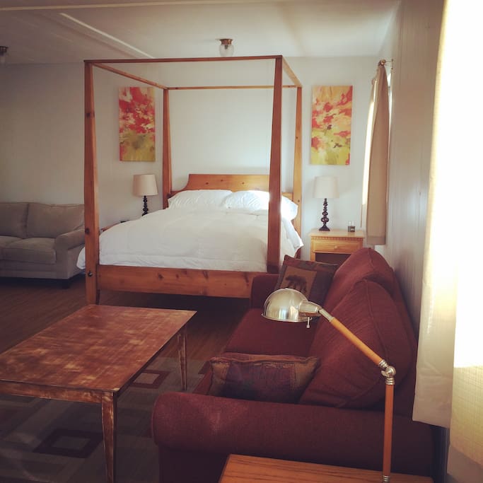 Double bed and queen sized sleeper sofa, with sitting area.