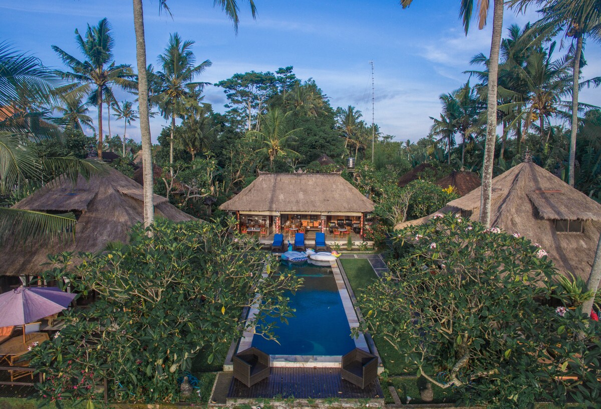 An aerial view showcases the villa's serene surroundings, featuring a large swimming pool framed by lush greenery and tropical plants. Thatched-roof structures provide shade and seating areas, creating a peaceful ambiance. The property is nestled among palm trees, enhancing a tranquil outdoor experience.