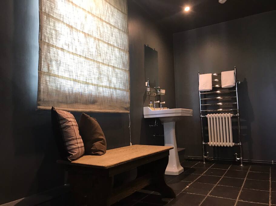 Blue room bathroom