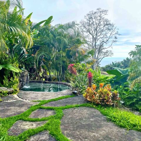 The Manor gallery image 3