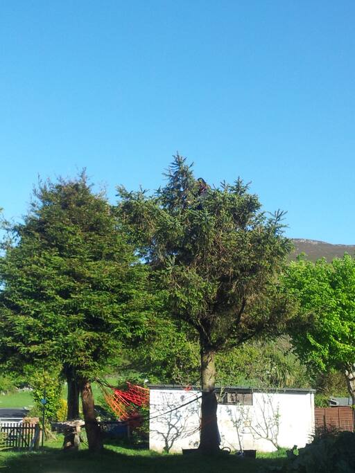 The garden is a lovely sunny spot to sit when the weather's nice. Complete with hammocks and perfect for camping if there are more than 4 of you