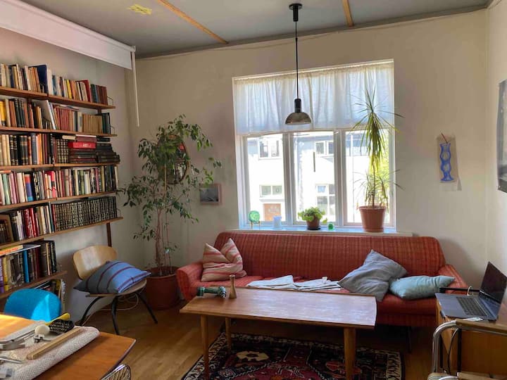 Abode In The Old Center Hills - Reykjavík